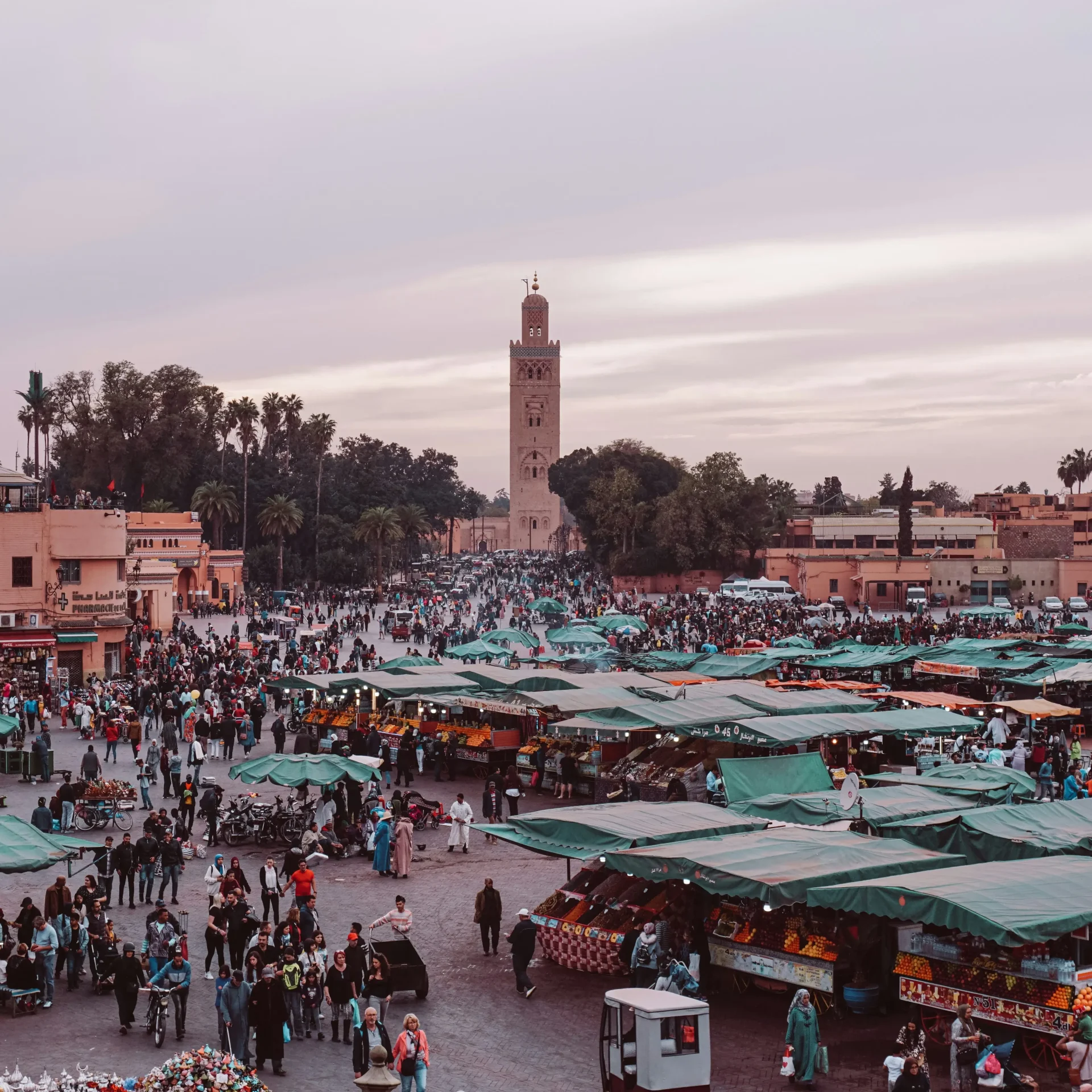 Cultural Morocco Tours Beatrice Sana 9 XnKWRZWzU Unsplash 1